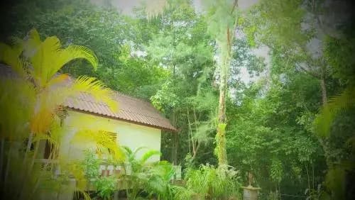 Paradise Waterfall House - main photo