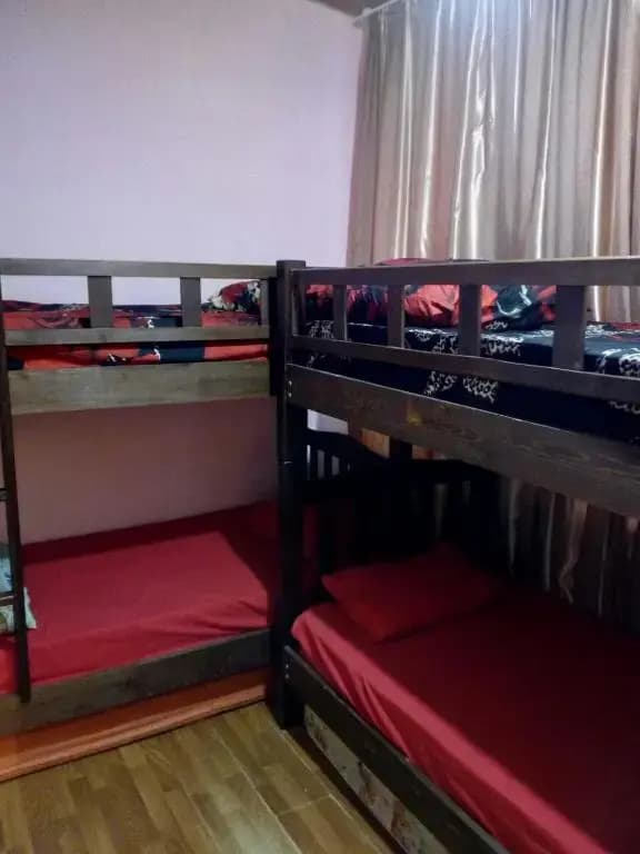 Tofi Hostel Tbilisi - photo 9