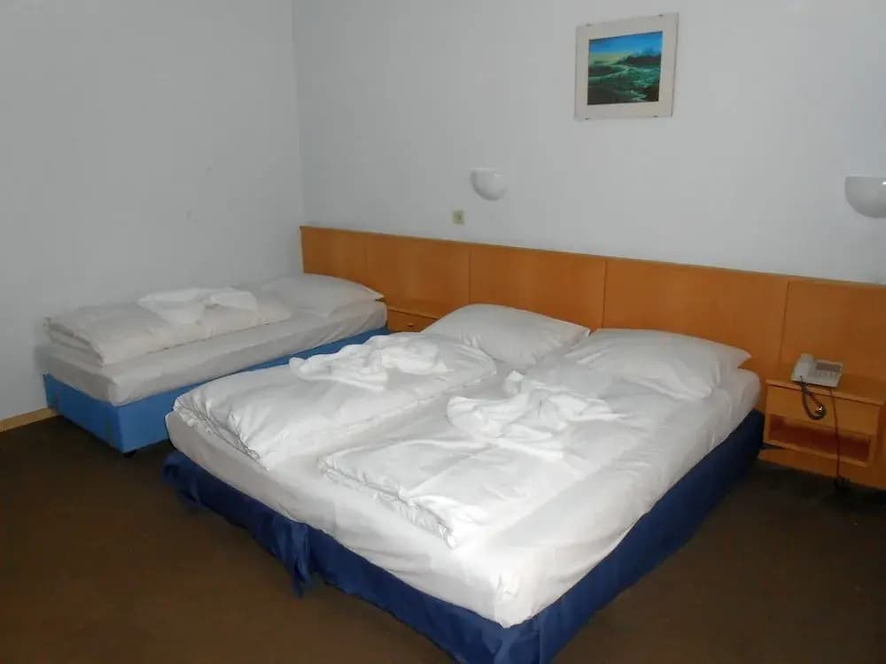 Hotel Pension Astra - photo 4