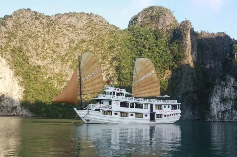 Calypso Cruise - photo 16