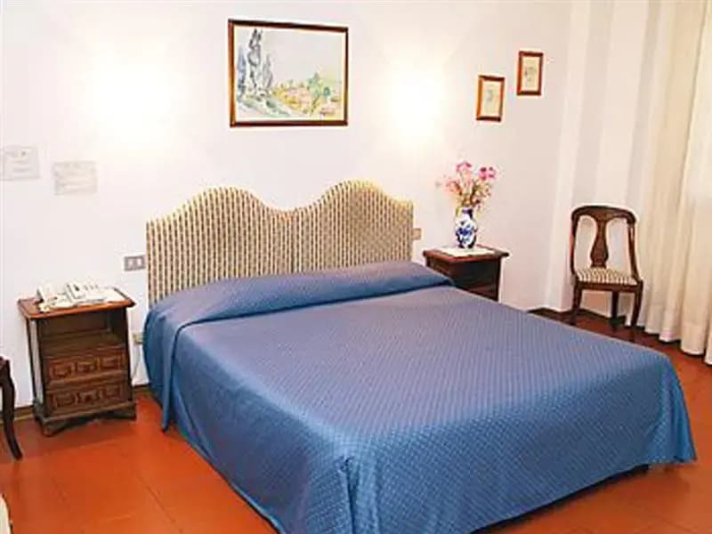 Bellettini - main photo