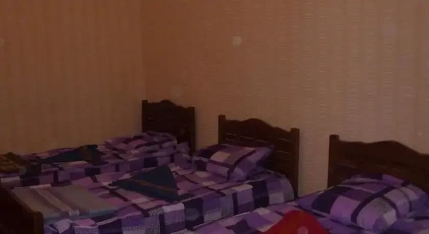 Olga Hostel - photo 3