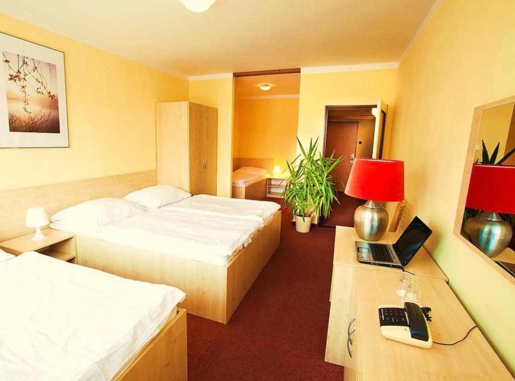 Hotel Charles Central - Czech Leading Hotels - photo 10