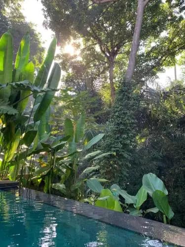 Aji Lodge Bungalow - photo 14