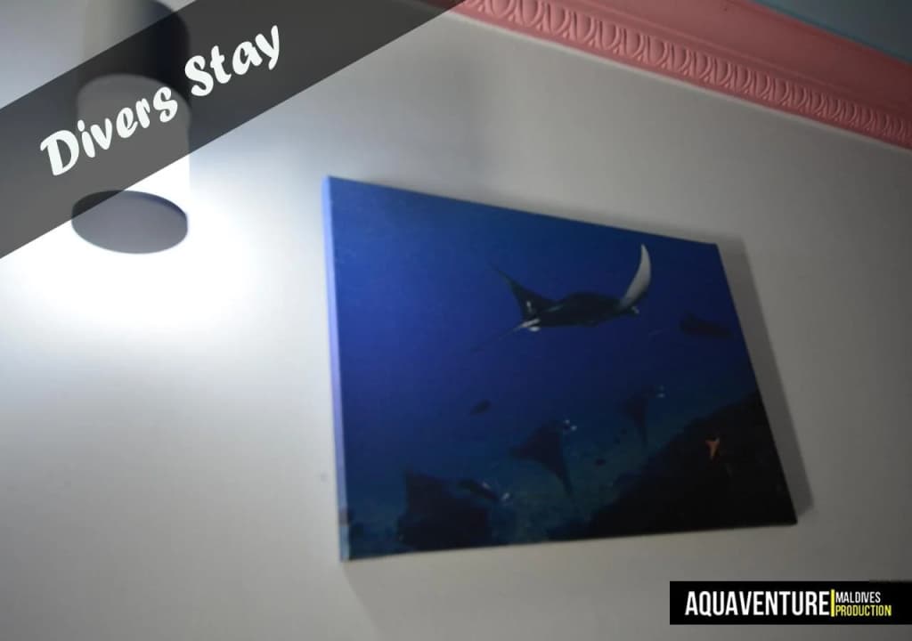 Aquaventure Manta Lodge - Scuba Divers - photo 2