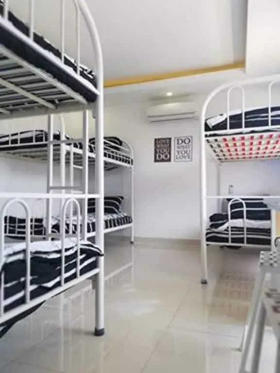 Cat's Hostel - photo 18
