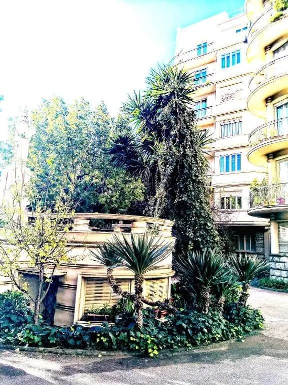 LE Palladium quartier Tarewitch - photo 11