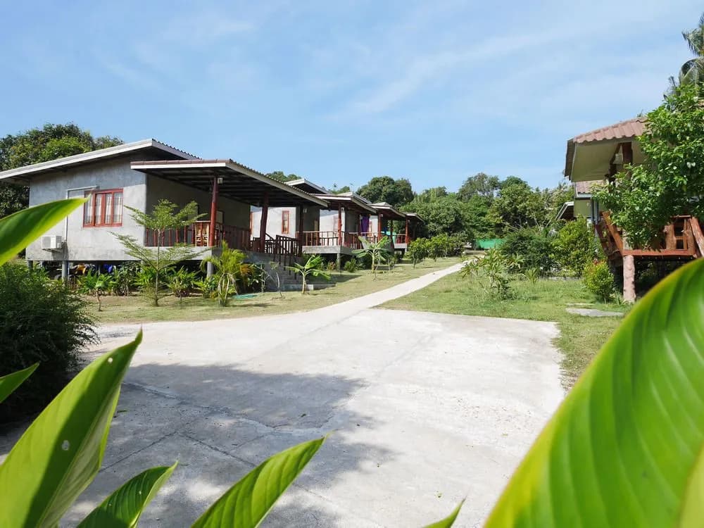 Phangan P10 - photo 20