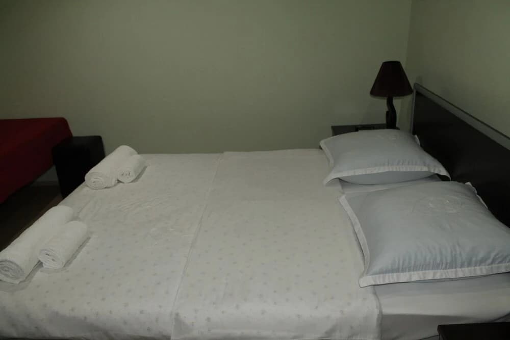 Star Hotel Tbilisi - photo 5