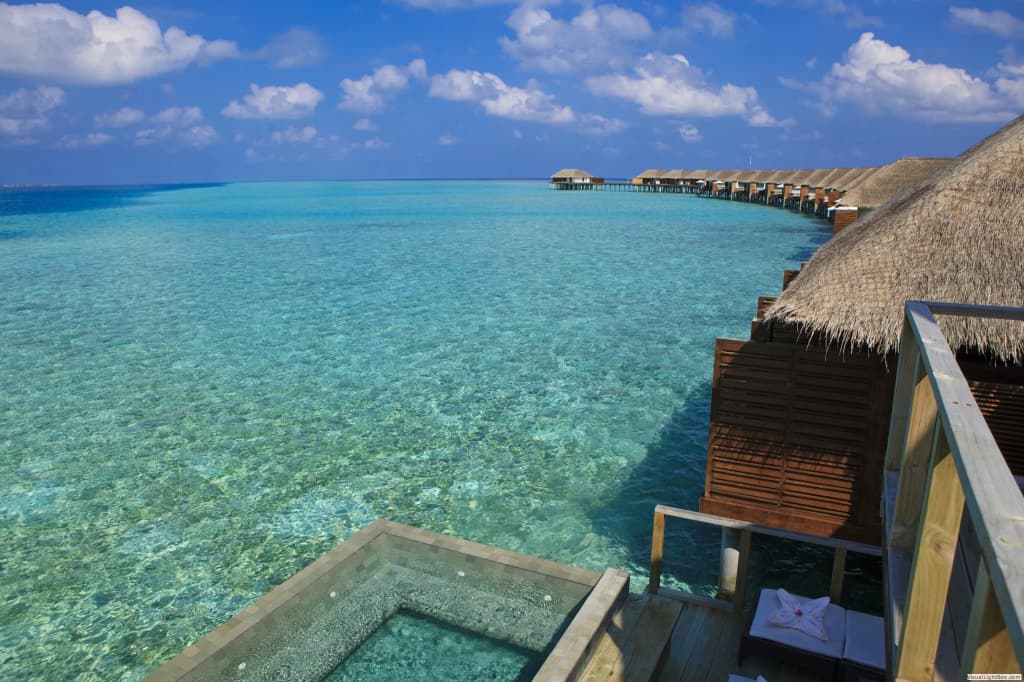 Niva Velassaru Maldives Hotel - photo 23