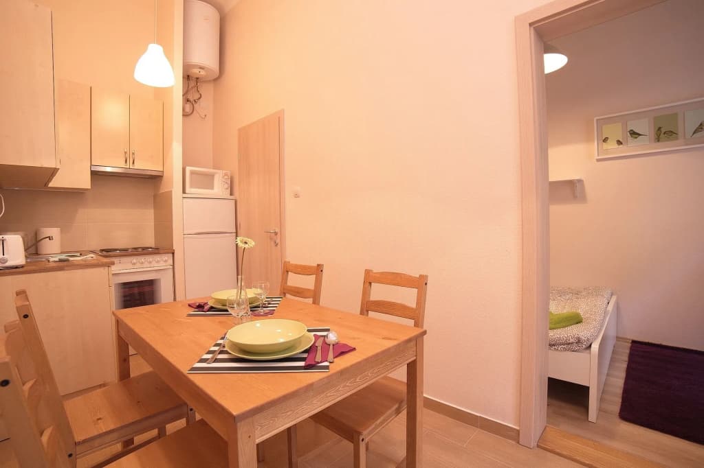 Opera Guesthouse & apartments - photo 19