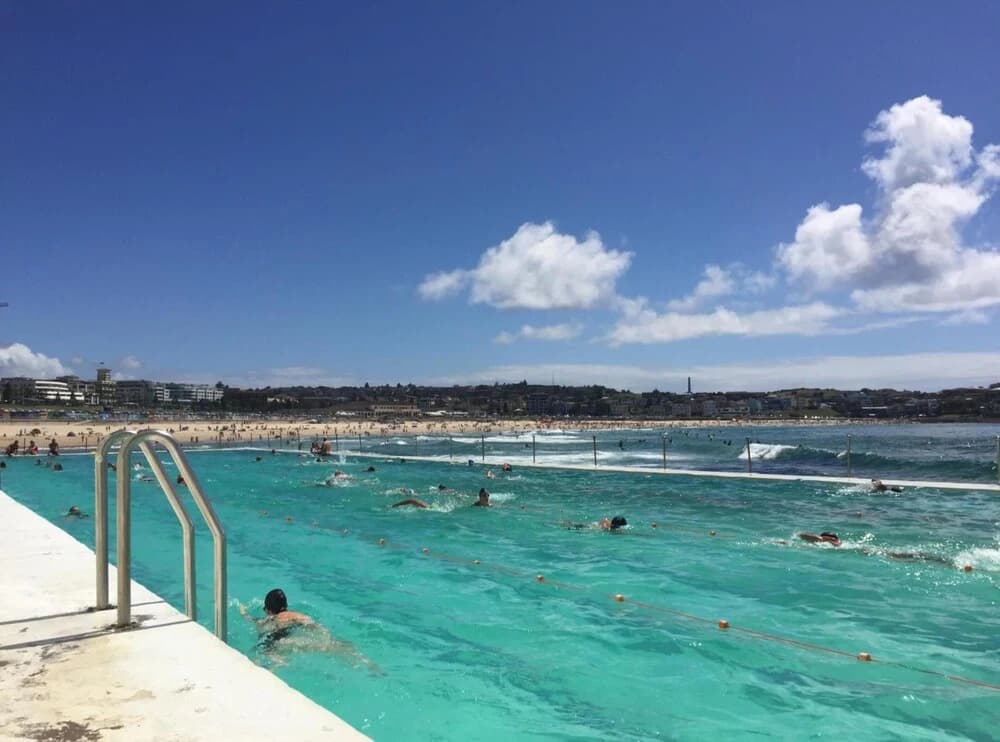 Bondi Beach Haven - photo 10