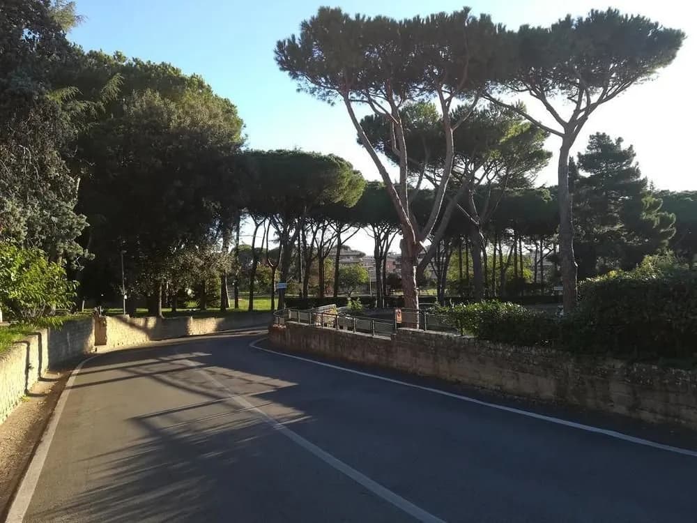 Park Hotel Aurelia Roma - photo 14