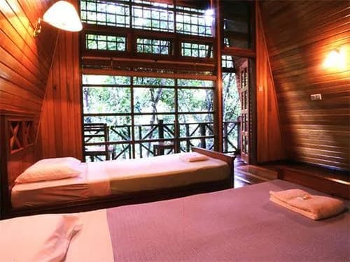 Tabin Wildlife Resort - photo 2