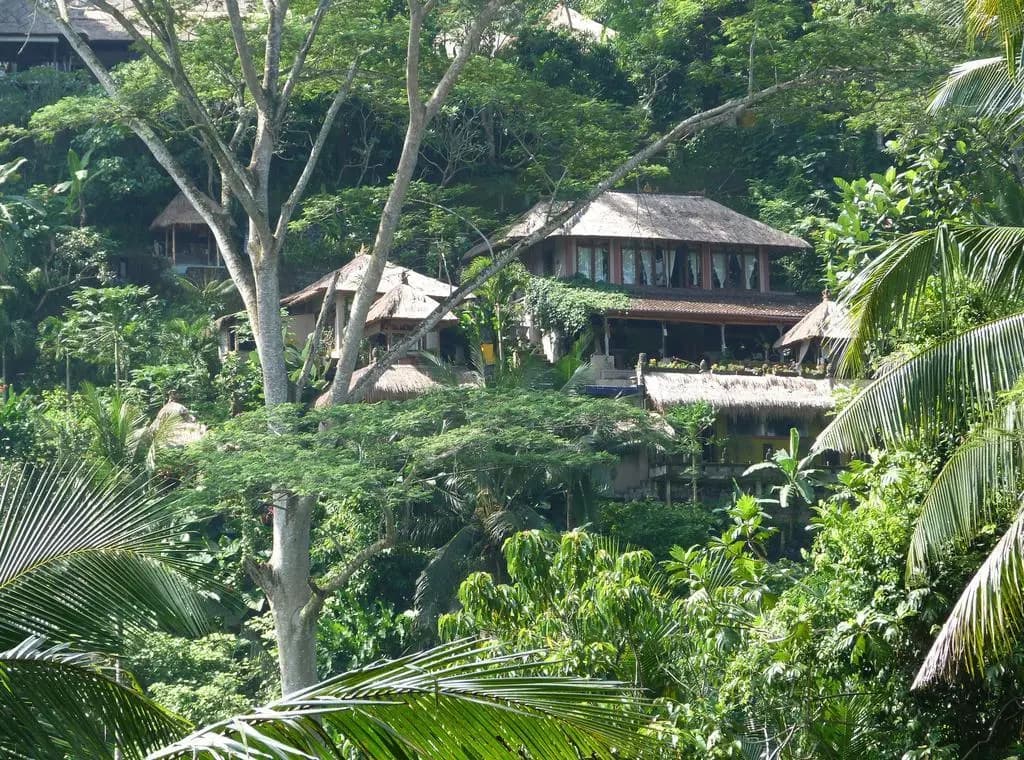 Green Spirit Villa - photo 7