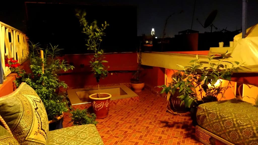 Riad Yara - photo 12