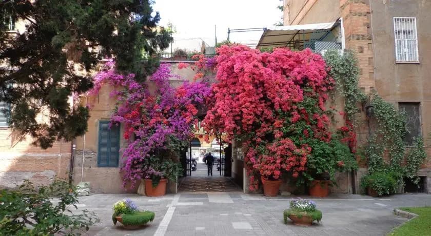 Il Cortile di Carlo - photo 7