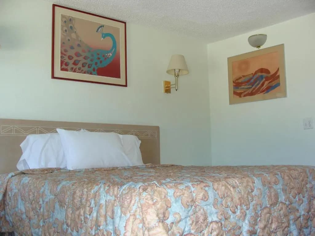 Horizon Inn Motel - photo 7