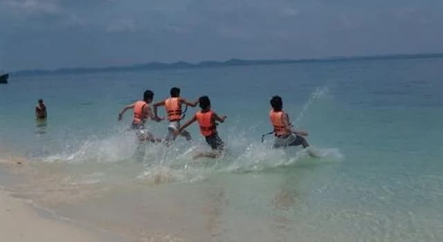 D'Coconut Island Resort - photo 23