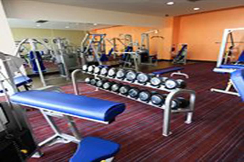 Dynasty Grande Hotel - photo 22