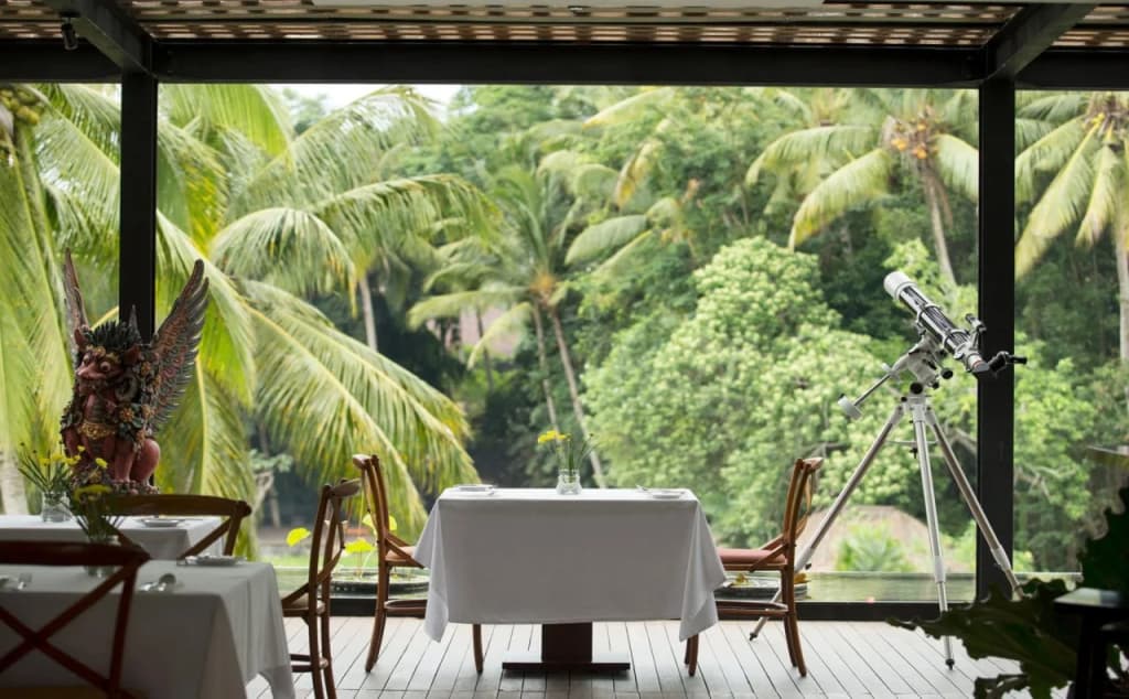 Plataran Ubud Hotel & Spa - photo 30