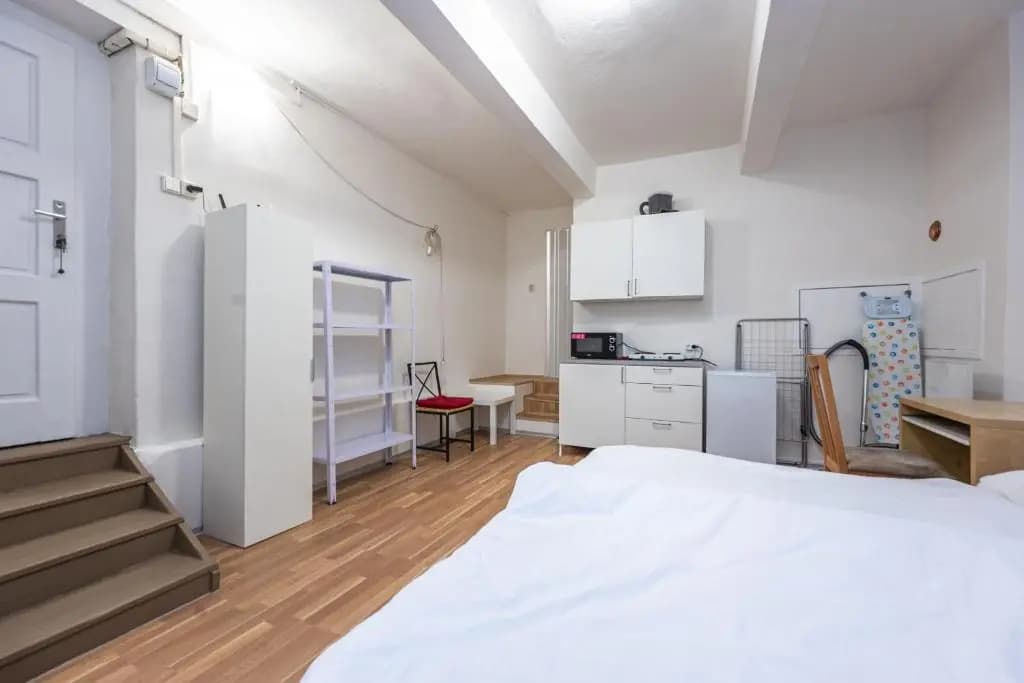 Dittrichova Apartment - photo 13