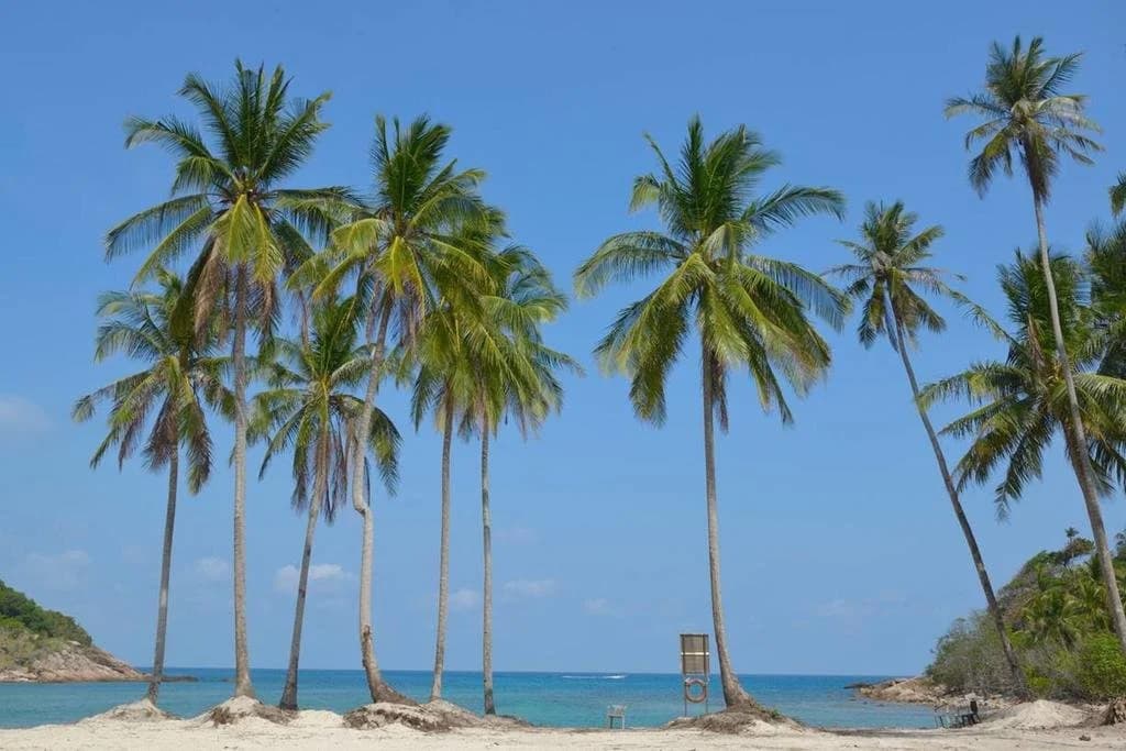 Delima Redang Resort - photo 11