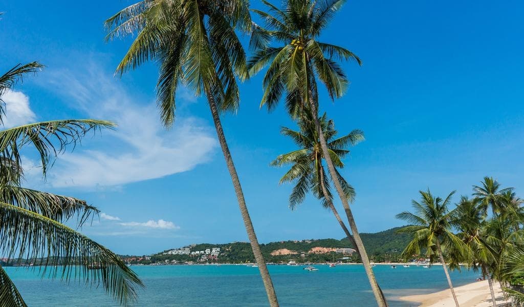 B House Samui - photo 19