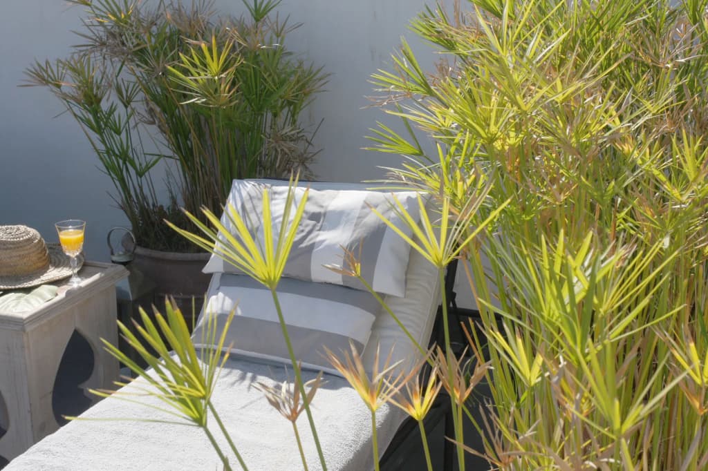 Dar Seven - photo 11