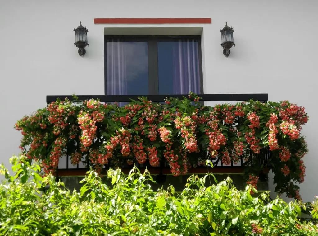 Hoian Aroma Villa - photo 7