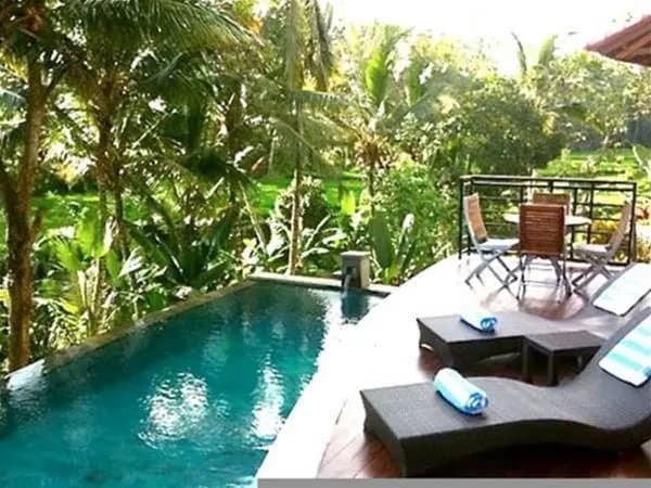 Daysha Ubud - photo 6