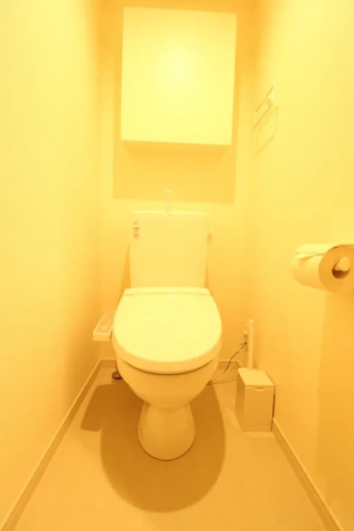 Toms House - photo 37