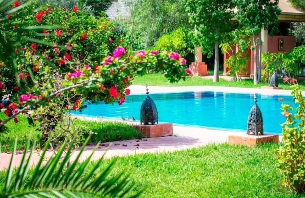 Las Palmeras - photo 19