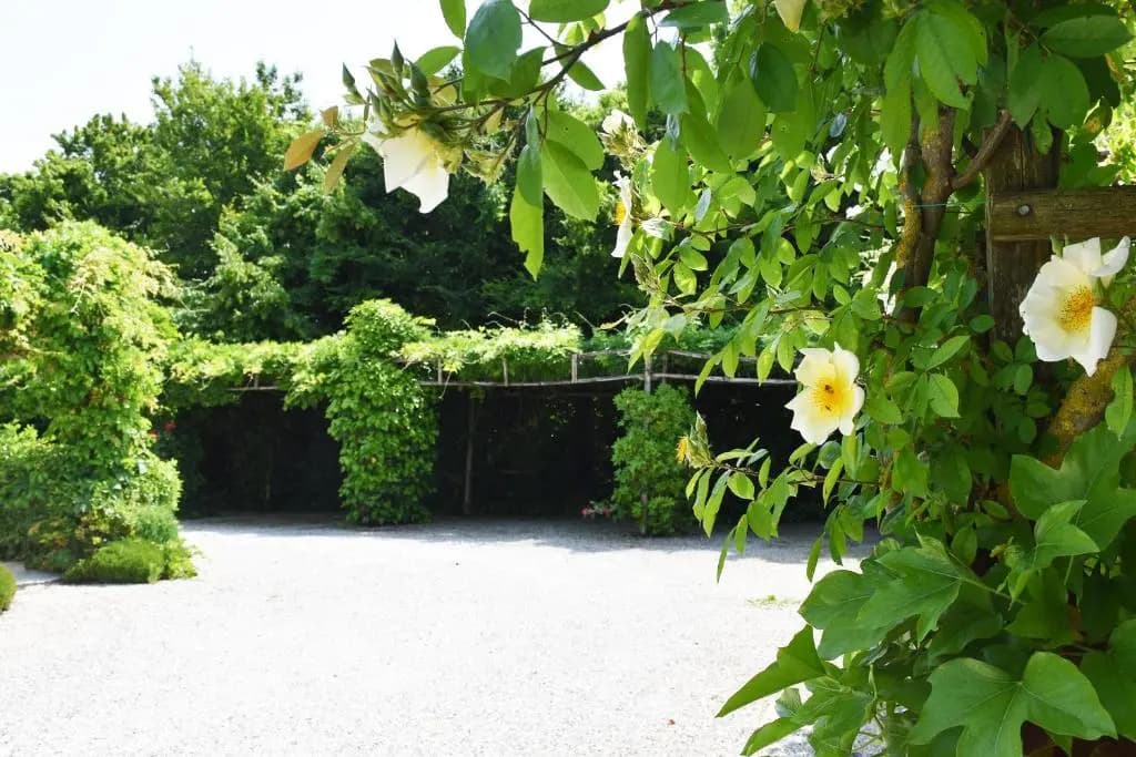 Venicegreen Agriresort - photo 12