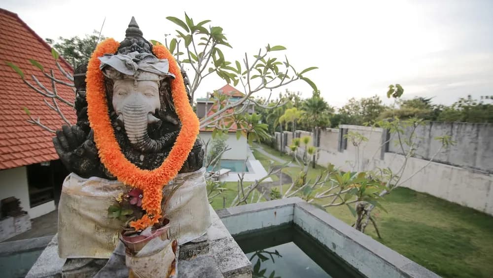 De Puri Bingin - photo 17