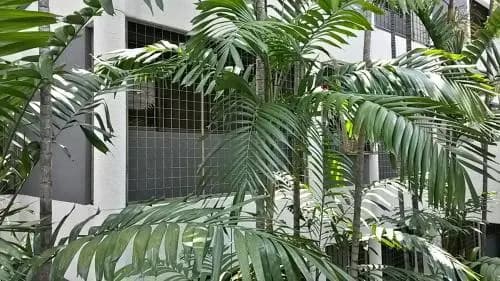 The Garden Apartment at Bangsar - photo 35