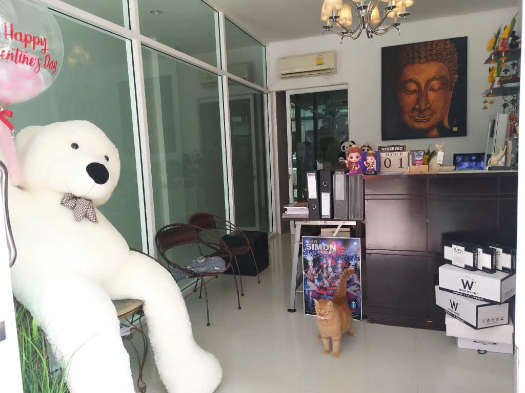 J and N Mansion 2 - photo 11