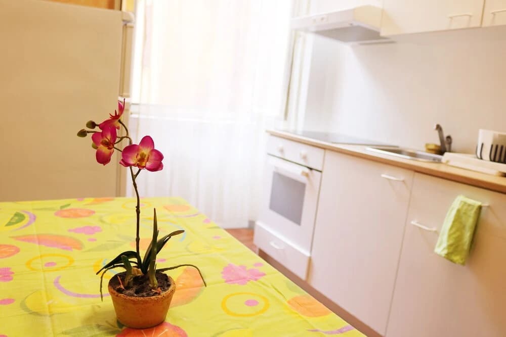 77case - Cozy Apartment 73 - photo 2