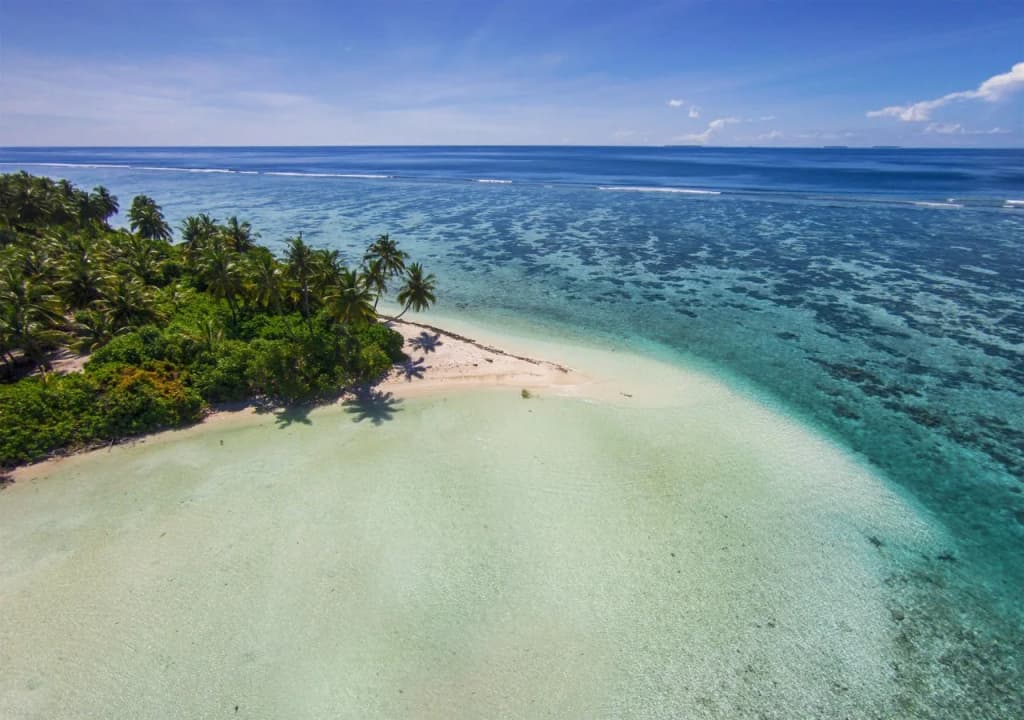 Magoodhoo Inn - photo 20