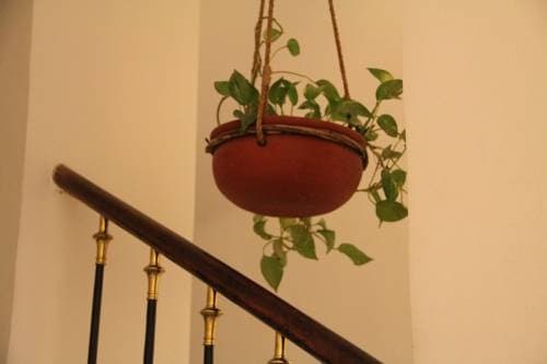 Pension Kraml Wien - photo 11