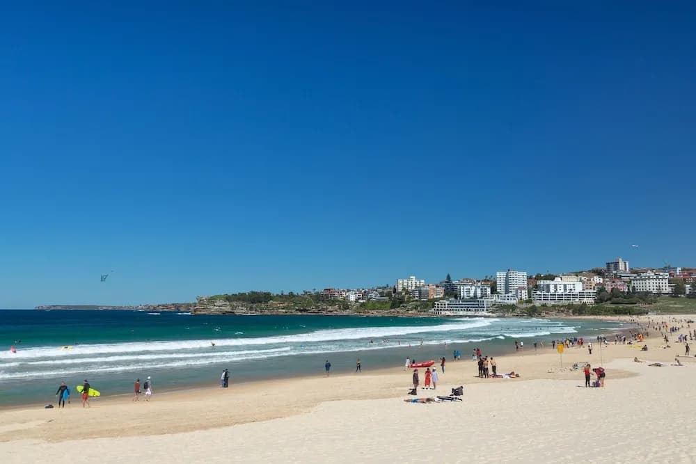 The Clovelly Hotel - photo 15