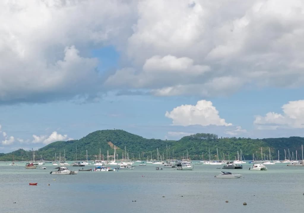 Anda Orange Pier Guesthouse - photo 17