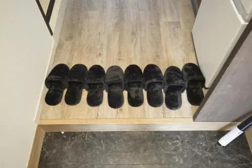 Roppongi Cat House - photo 3