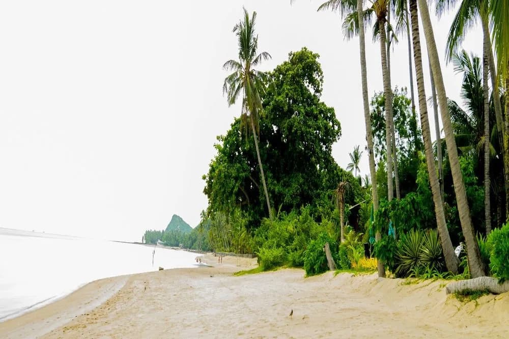 Monsoon Beach Villas - photo 10