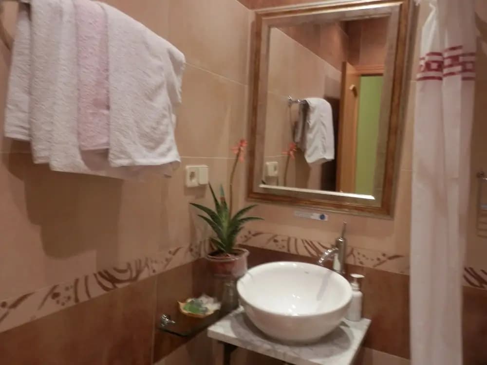 Hostal Del Pez Azul - photo 9
