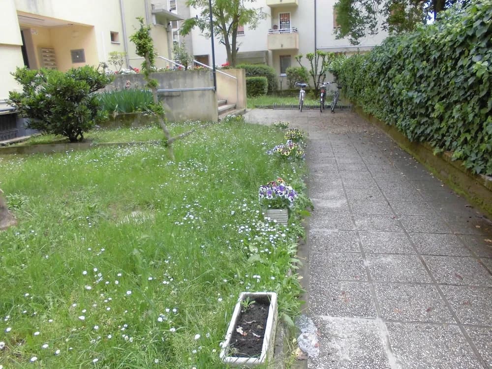 Girasole - photo 13