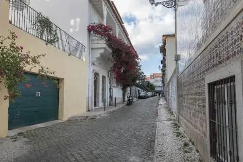 The Lisbon Flat GraCa - photo 4