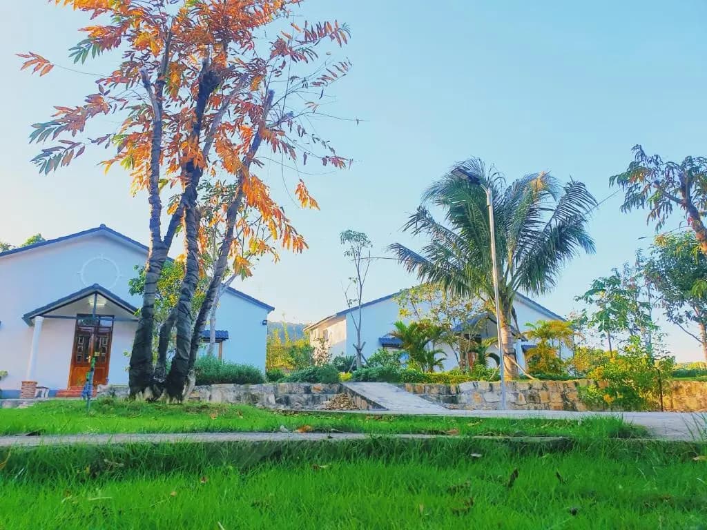 Bungalow VinaHouse - photo 15