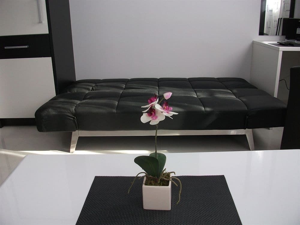 Constantin Apartments - photo 11
