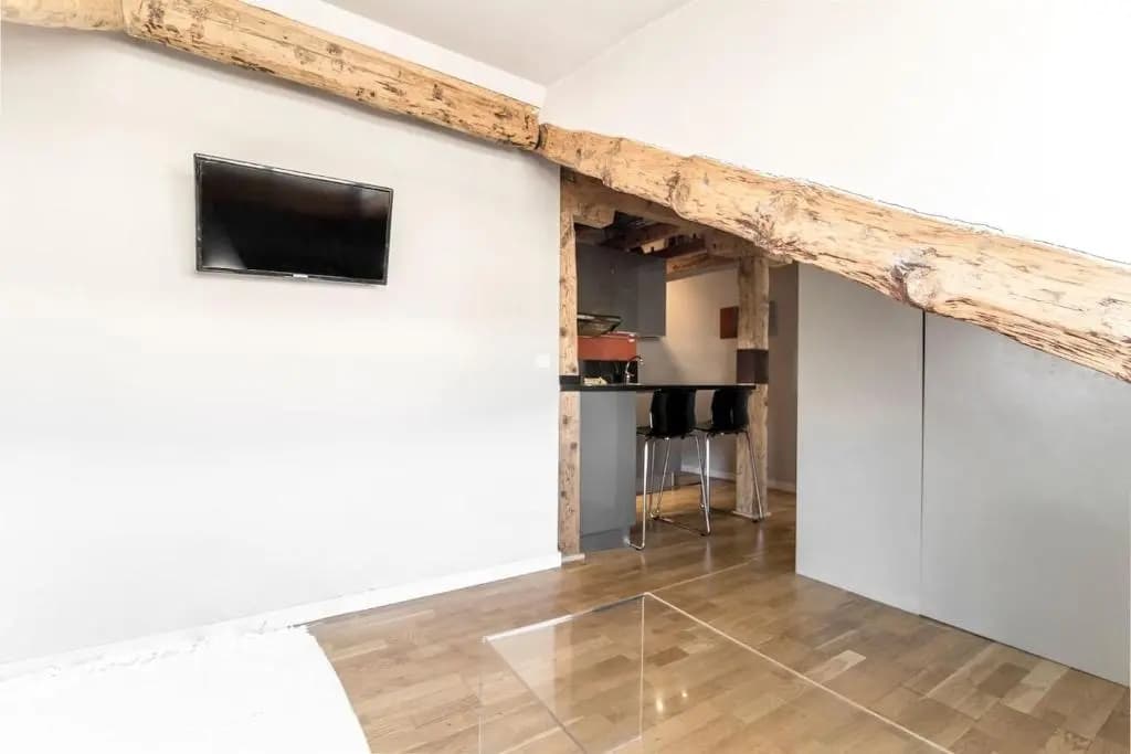 ATOCHA SKI PENTHOUSE STUDIO with views - photo 6